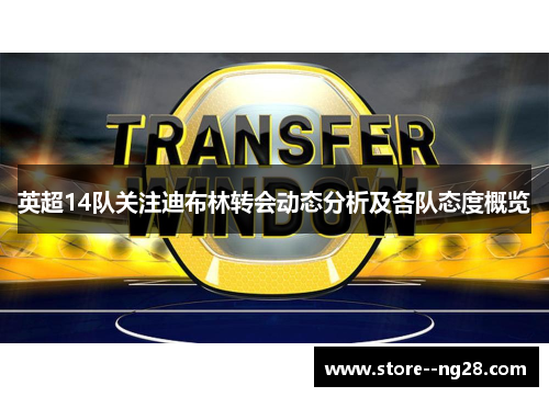 英超14队关注迪布林转会动态分析及各队态度概览