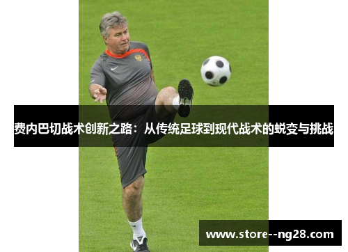 费内巴切战术创新之路：从传统足球到现代战术的蜕变与挑战